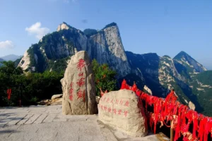 09f736c4a2c630f14f4f6ddc4f346a9c-300x200